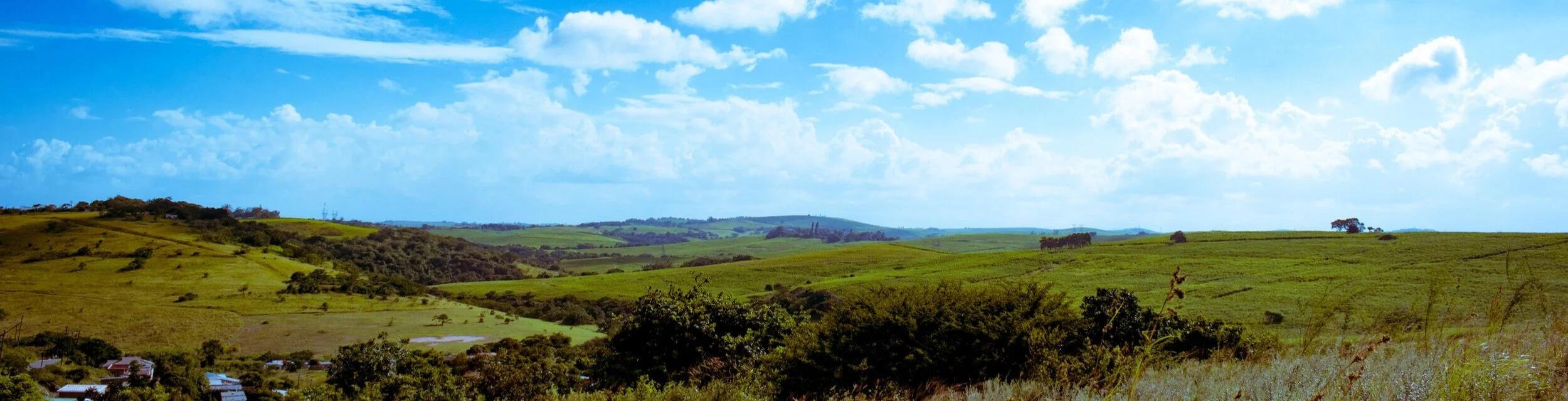 green_grass_field_under_blue_sky_and_white_clouds-scopio-43e2adcc-32ce-4934-8bb2-04d5fef4dc45.jpg