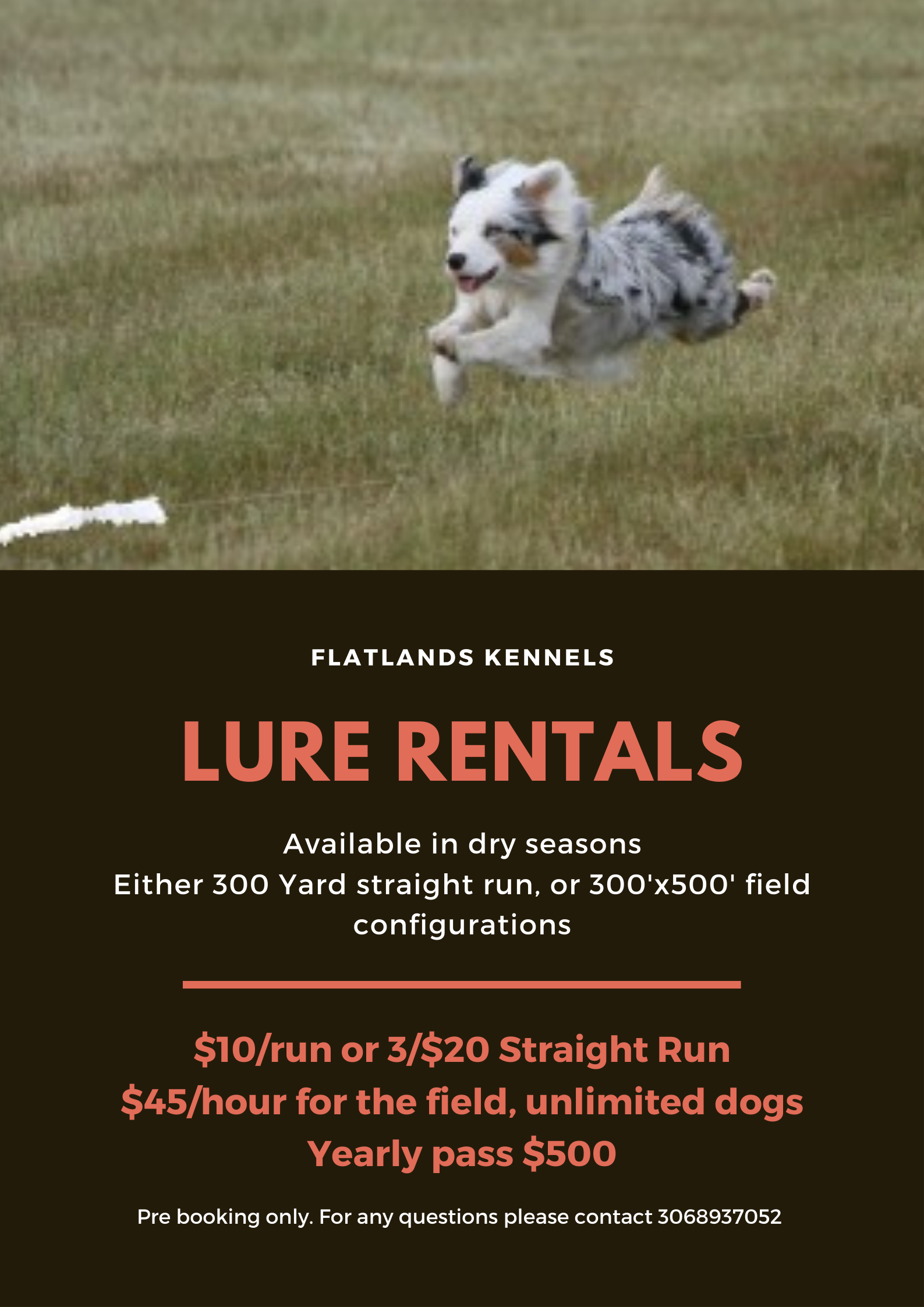 Lure Course — Flatlands Kennel Boarding & Training