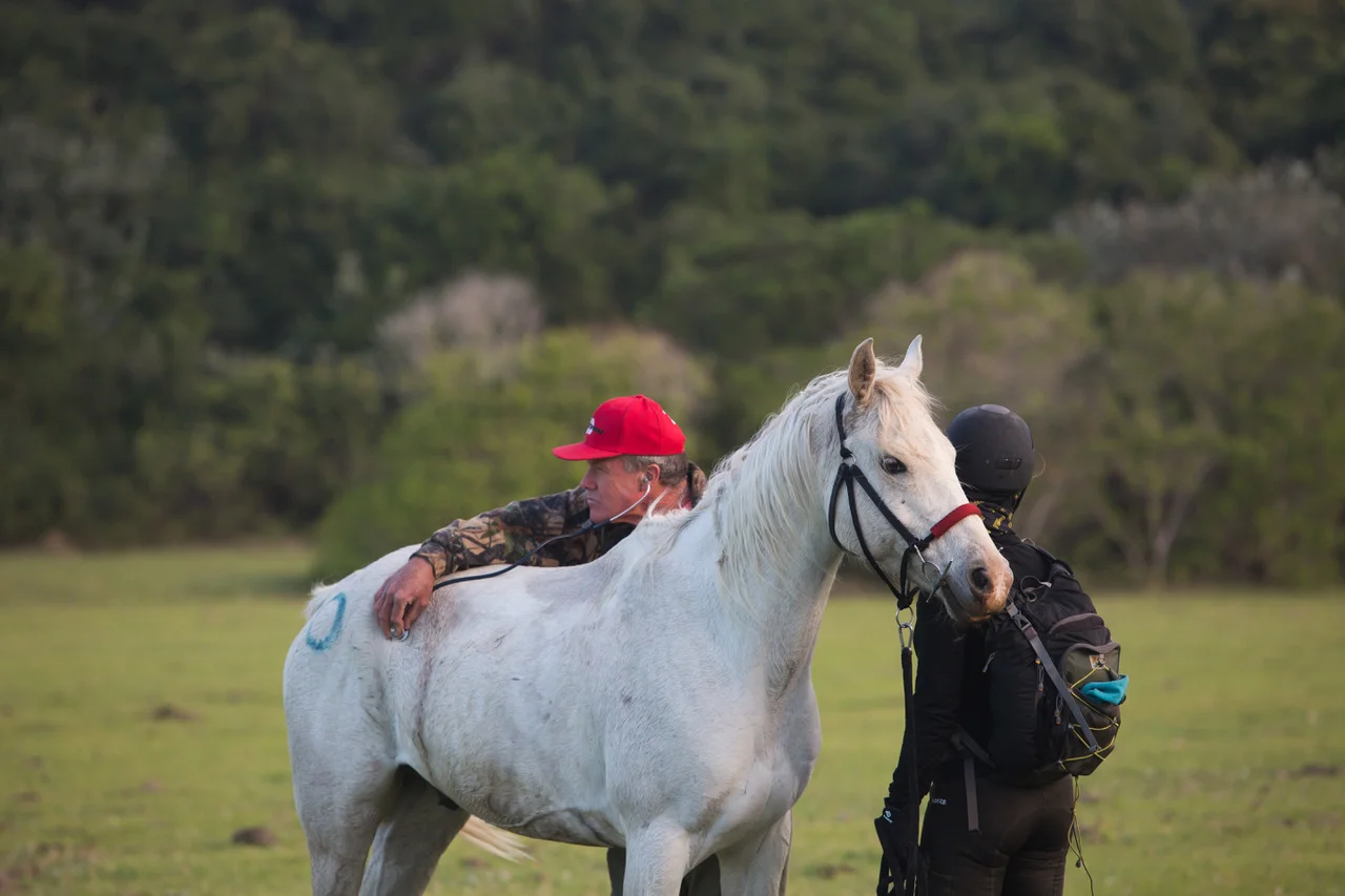 HOW WE CARE FOR OUR HORSES