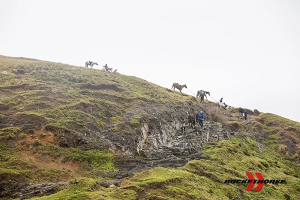 Despite the difficult terrain, our horses always did their best to keep their human teammates safe. Photo courtesy Daniela Zondagh.