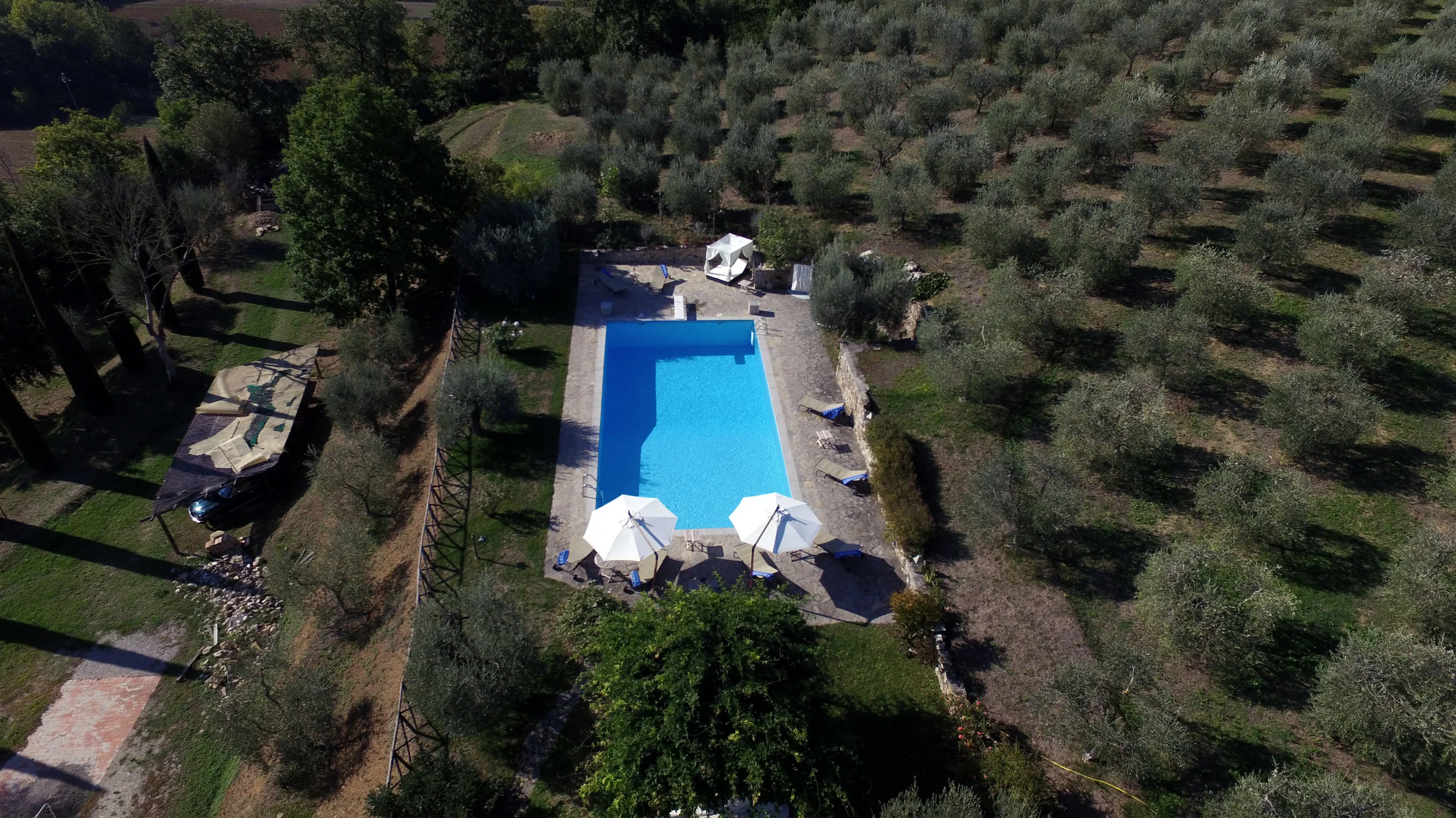 DJI_0011.JPG