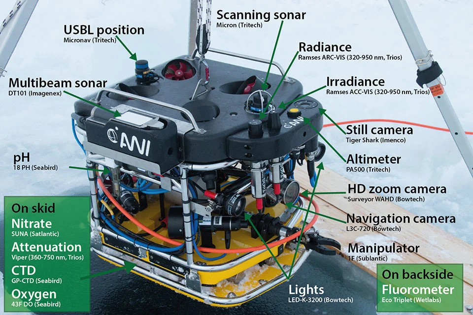 190407-OceanBusiness-large.jpg