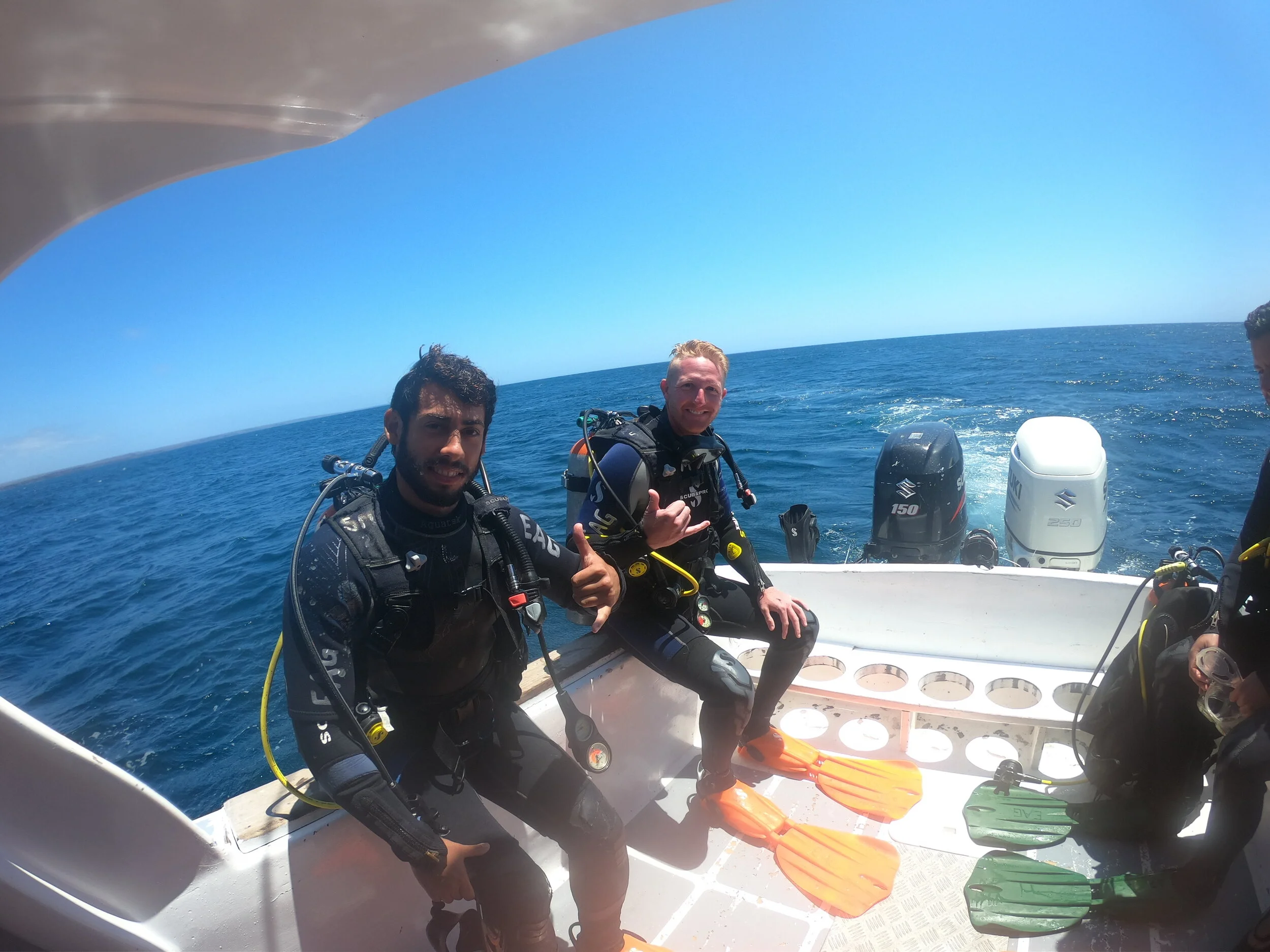 It was my first dive since 2009 I think. Was literally Googling ‘how to scuba dive’ the night before trying to remember how it all worked and what the equipment did. Thankfully all came back to me once the equipment was on and just the first dive I …