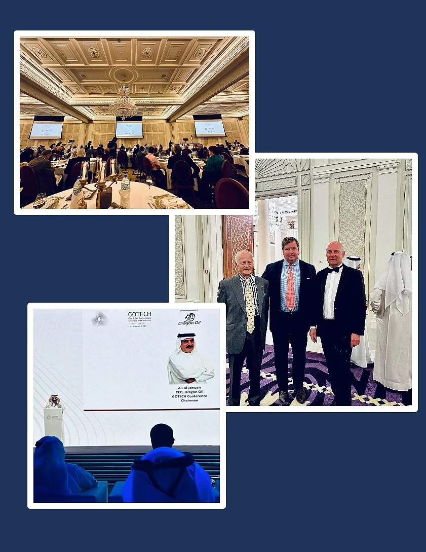 Sense Strategy at GoTech Sustainable Energy Transformation Conference 2023