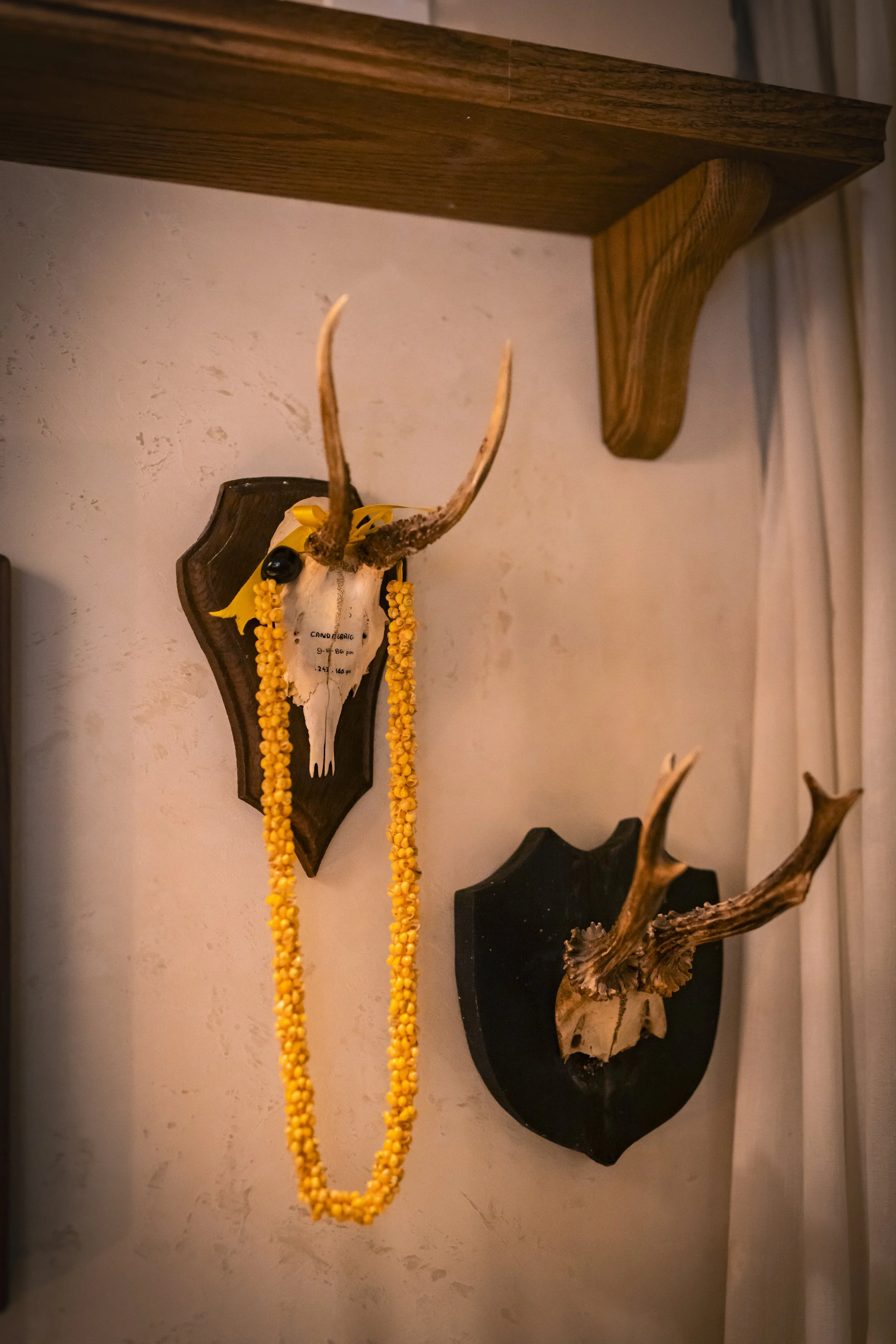 TBB 5.14 SHOOT-138.jpeg