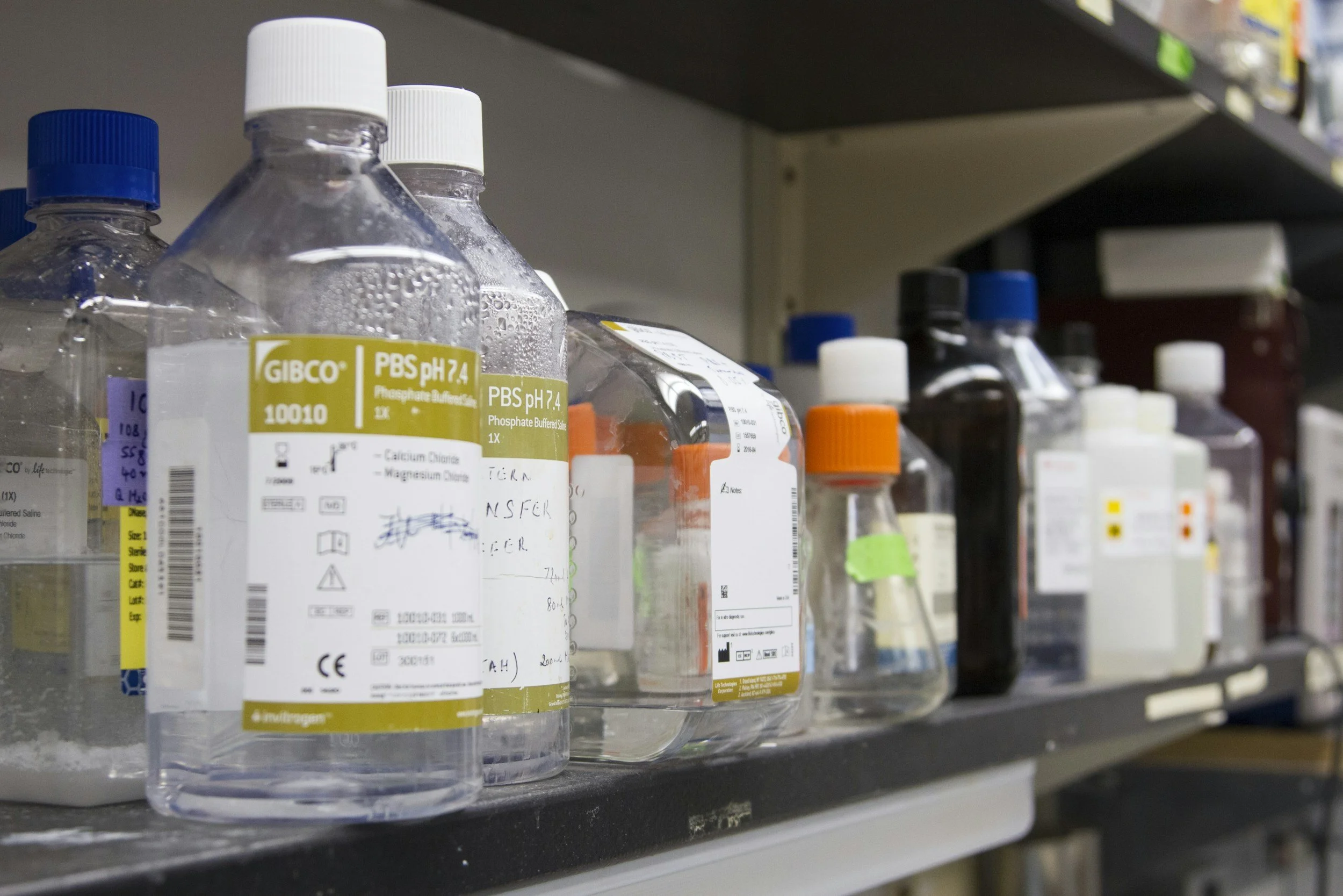 Chemicals on a shelf
