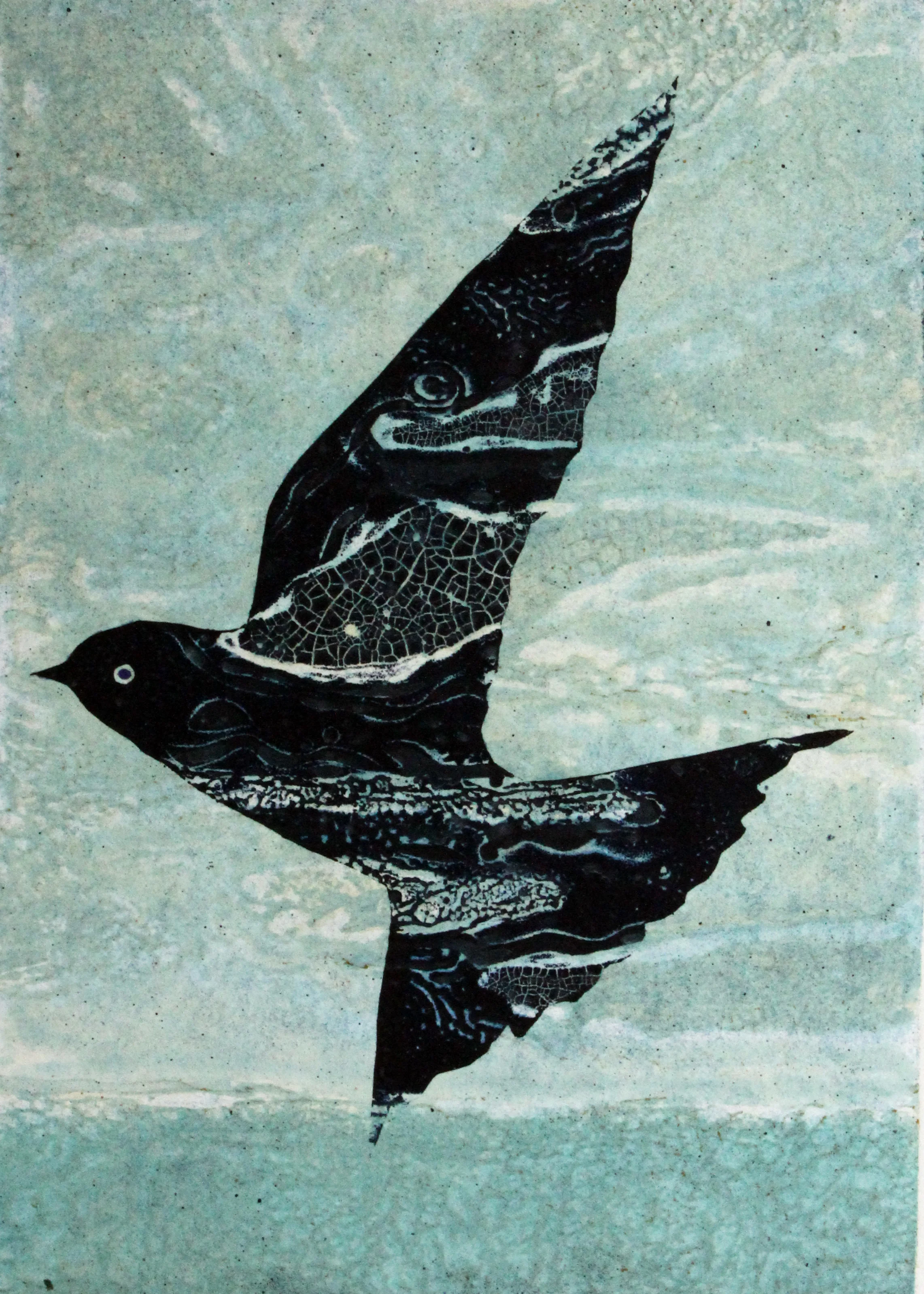 'Acrobatic Martin'