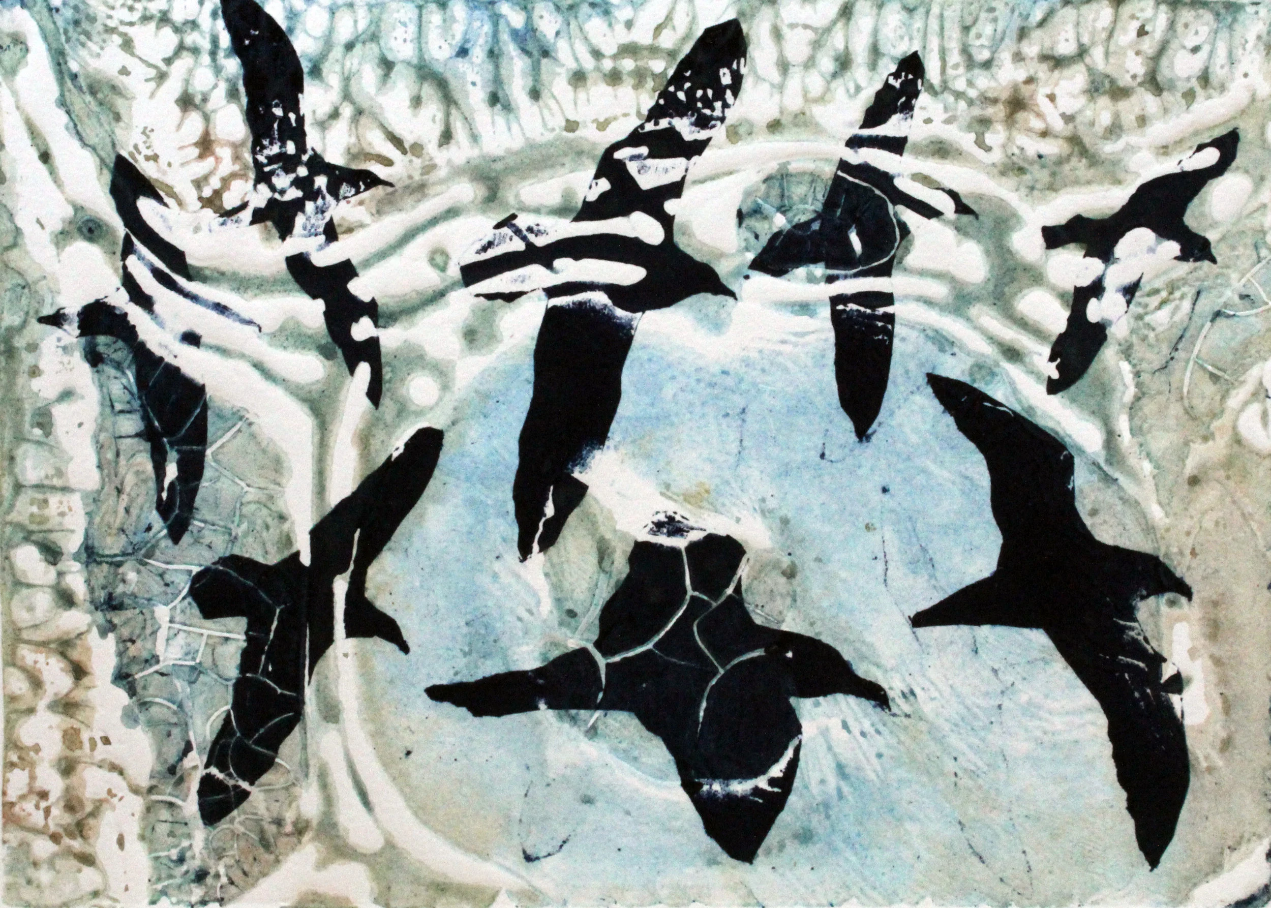 'Shear Water Journey'