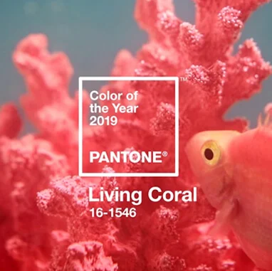 Living Coral: why the Pantone Colour of the Year matters… and how to make it happen