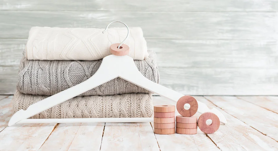 How to Get Rid of Moths