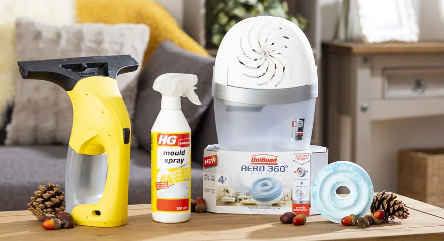 How to Get Rid of Mould and Damp