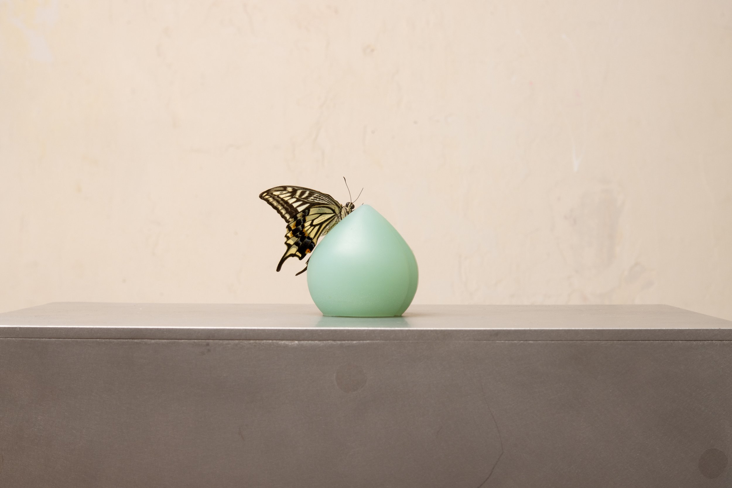 3. peach 0.16 different angle.jpg