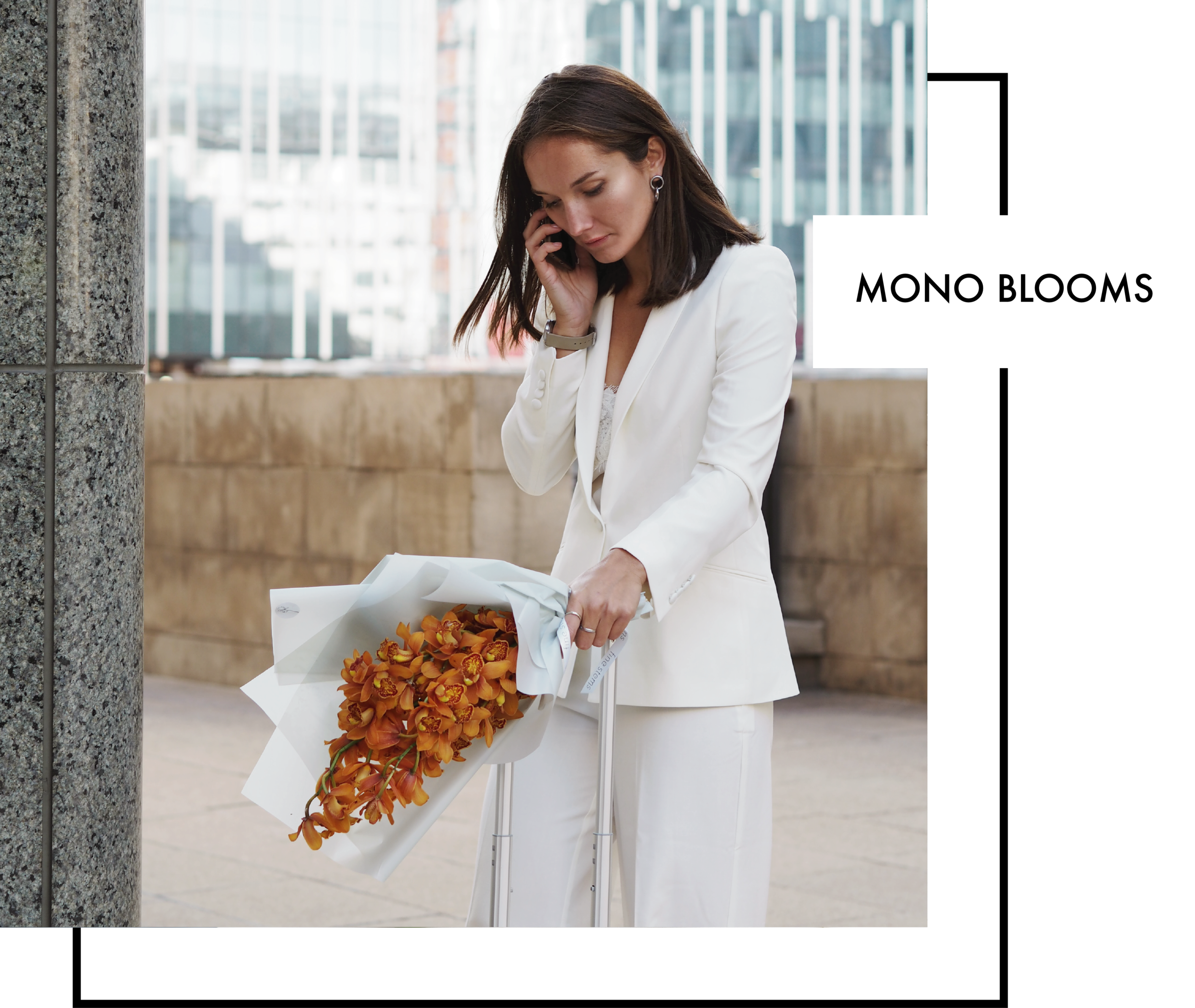 mono3 (1).png