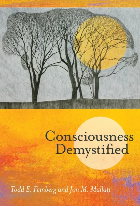 conscousness-demystified.jpg