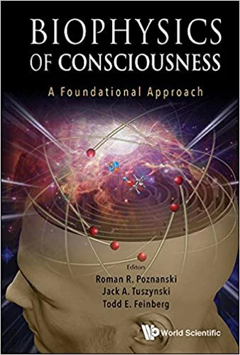biophysics-of-conciousness.jpg