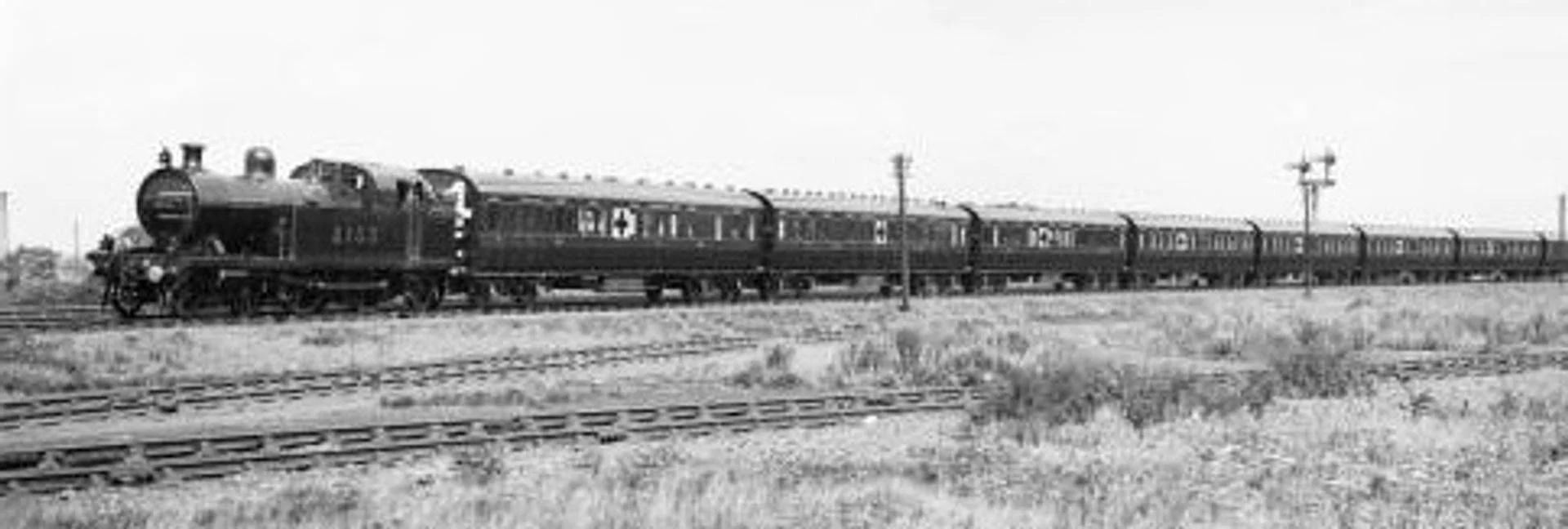 HLF4.jpg