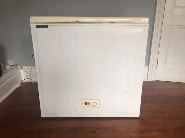 freezer 1.jpg