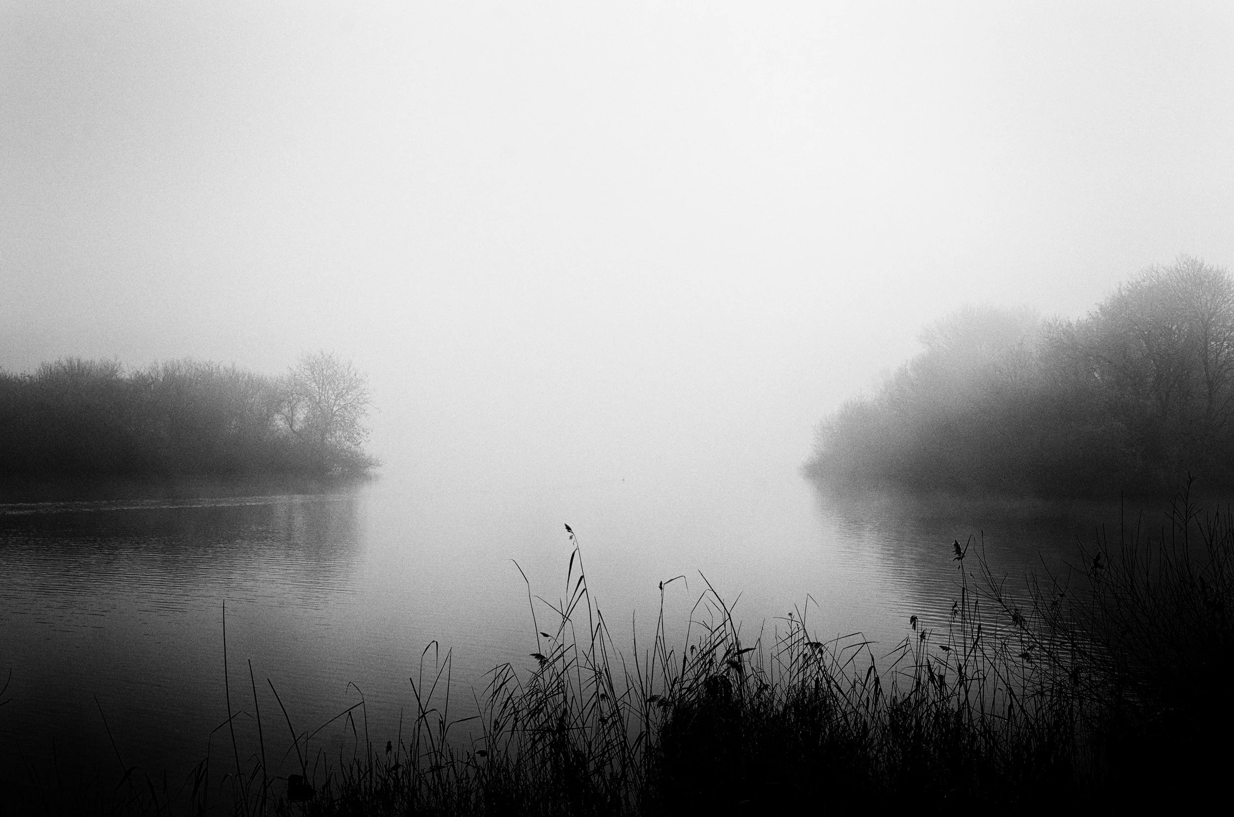 Ray Gumbley Photography