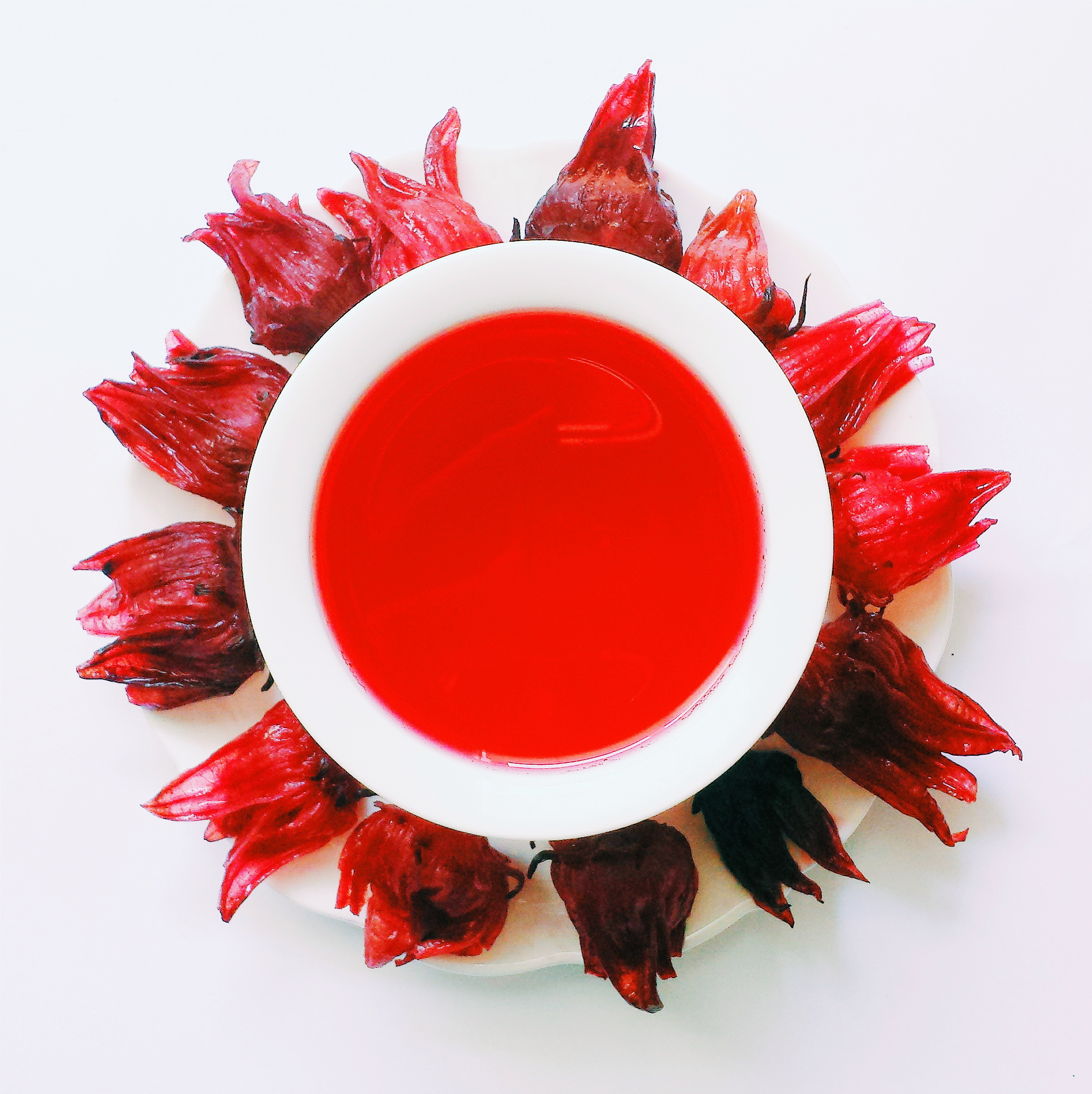 hydrate cup.jpg