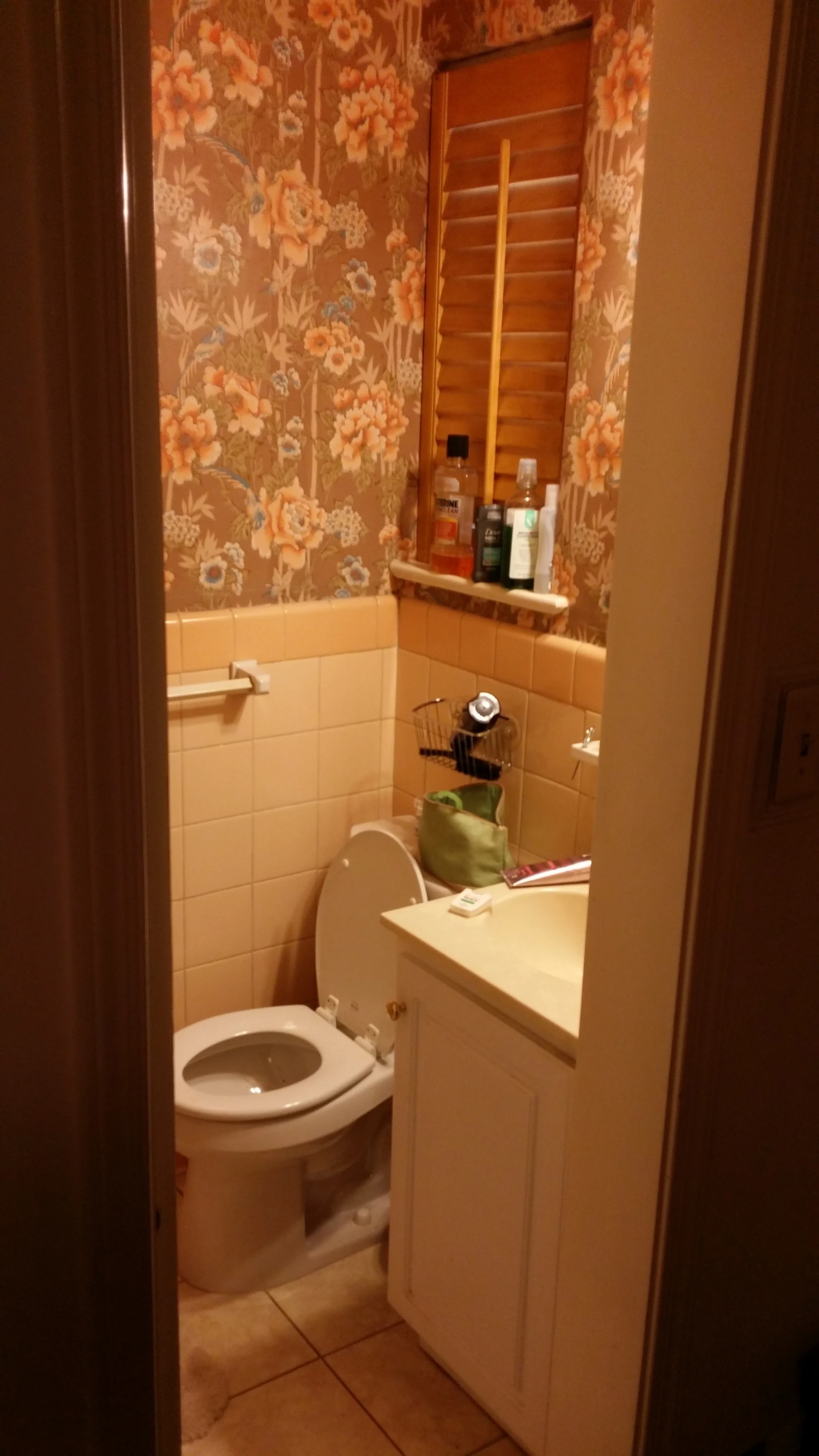 20150910_120256.jpg