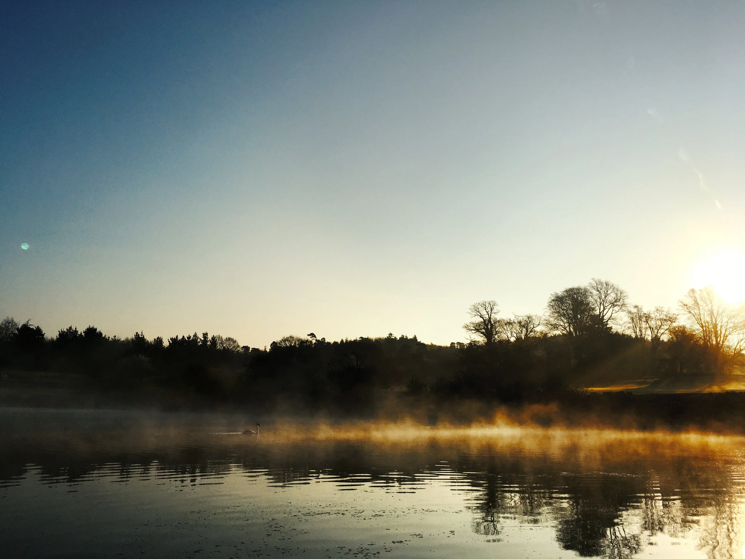 leeds-castle03.jpg