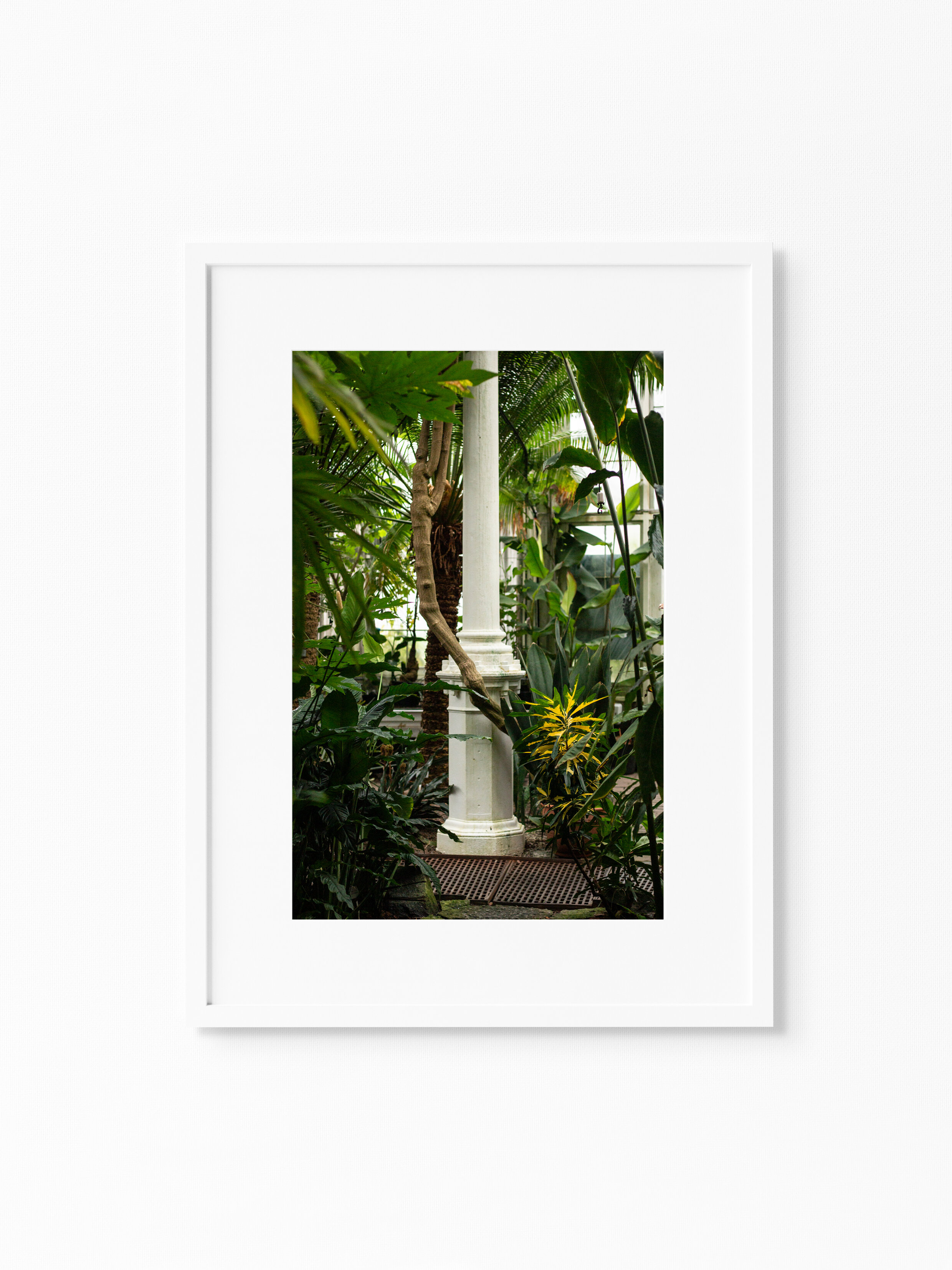PALM HOUSE.jpg
