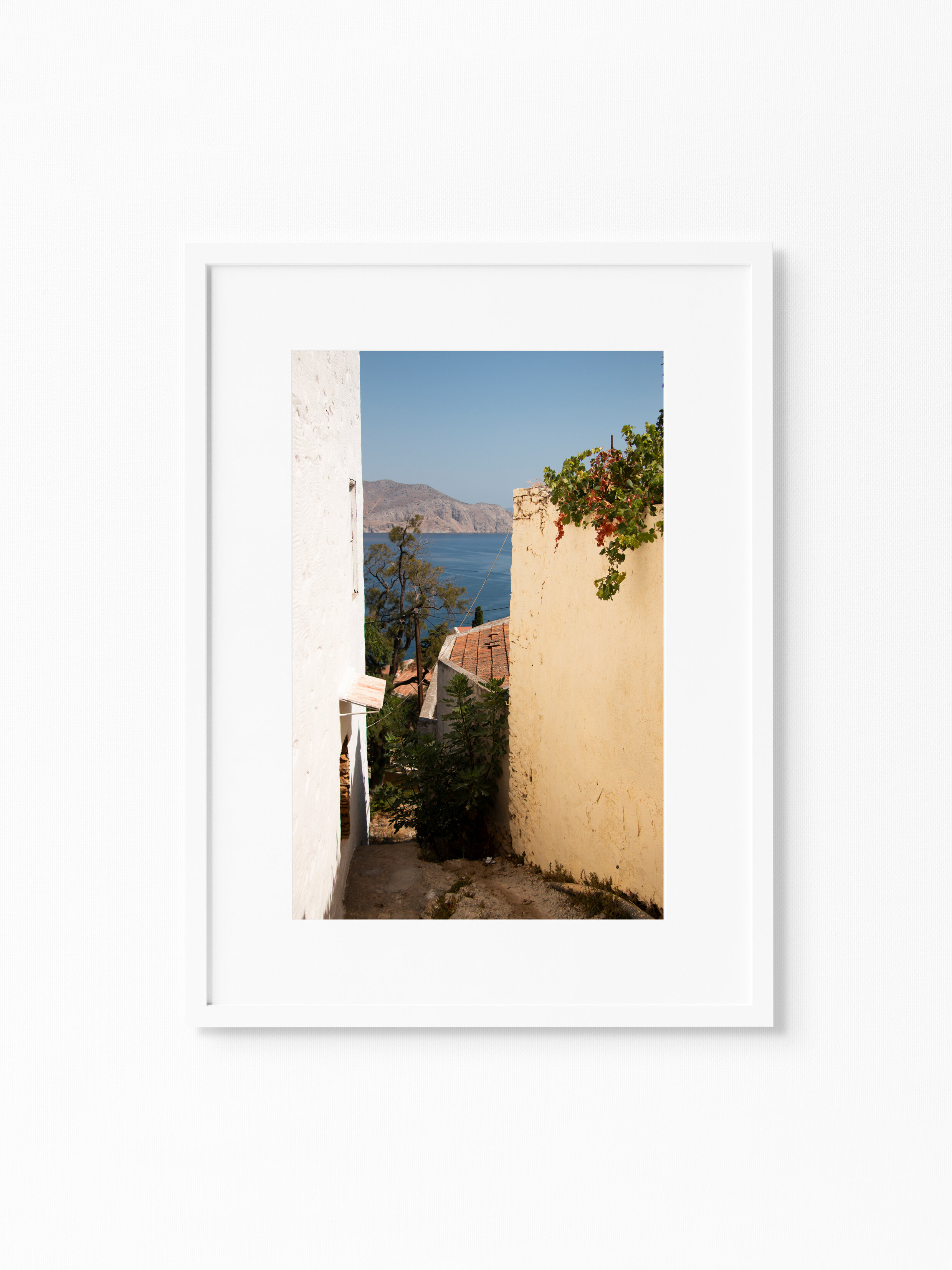 CHORIO.jpg