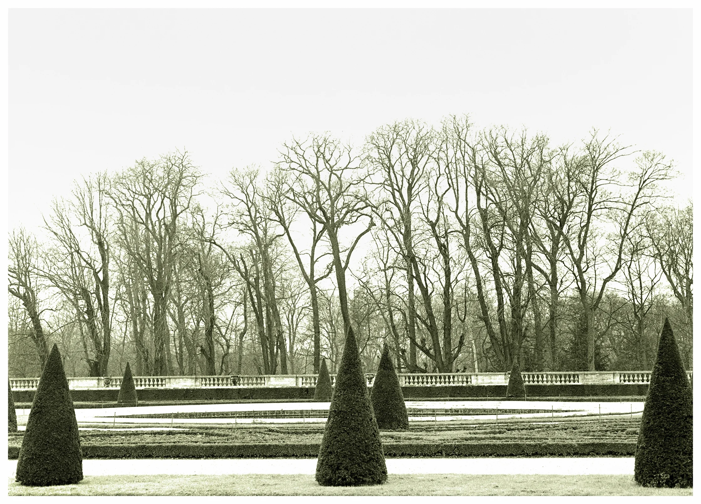 Versailles5.jpg