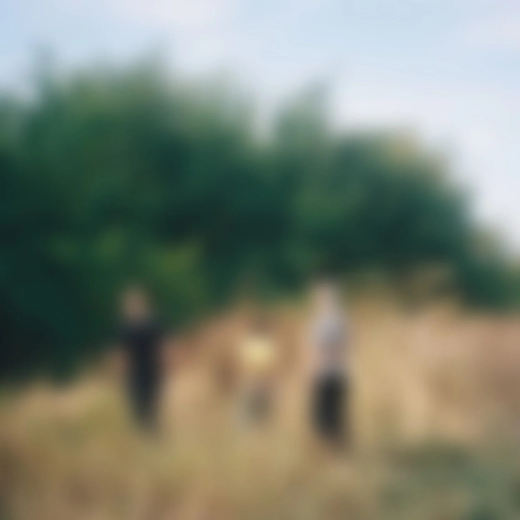 001394--005--VK.jpg