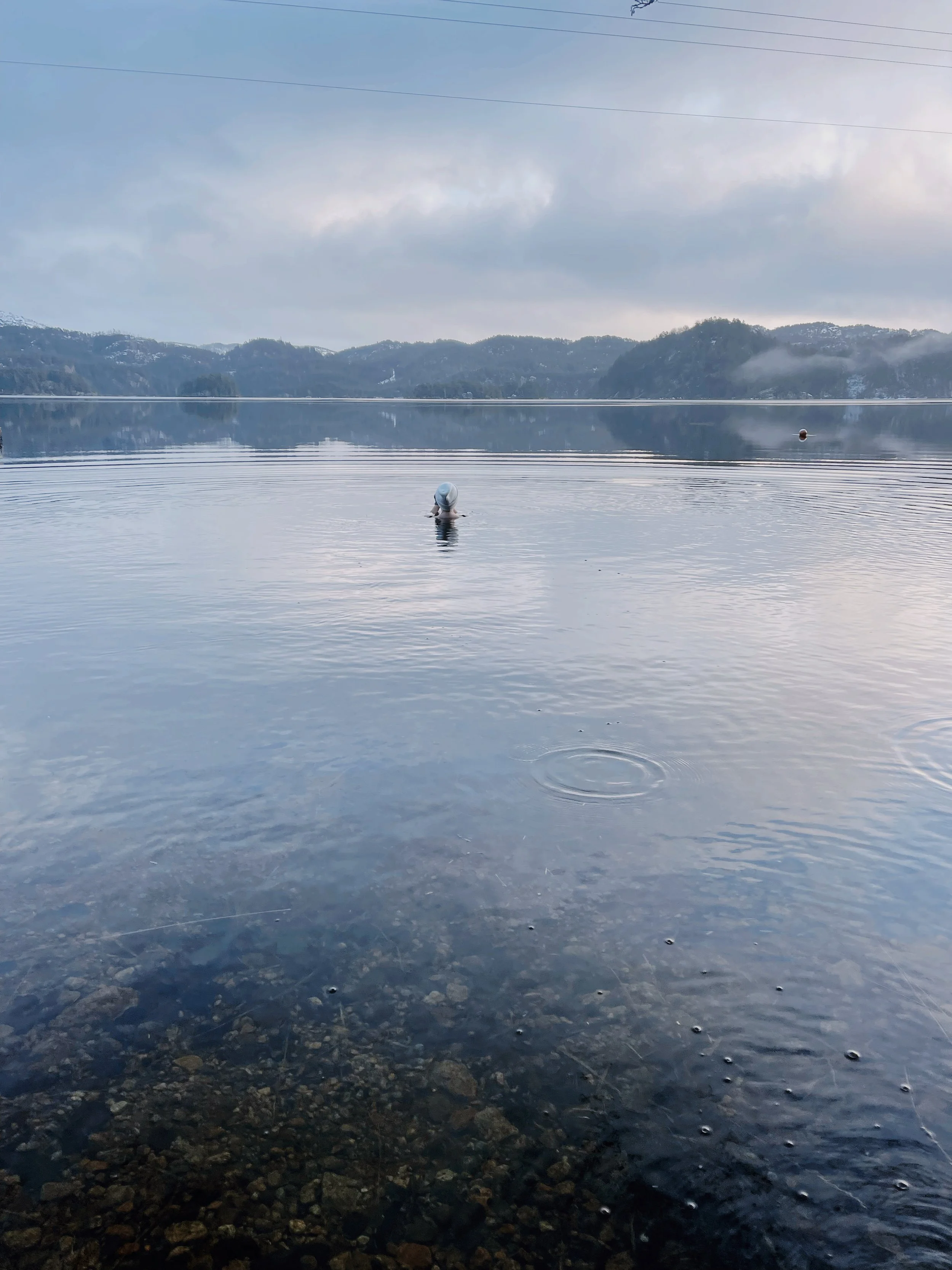 Ikke hold så hardt i hestehalen min og la meg leve fritt
