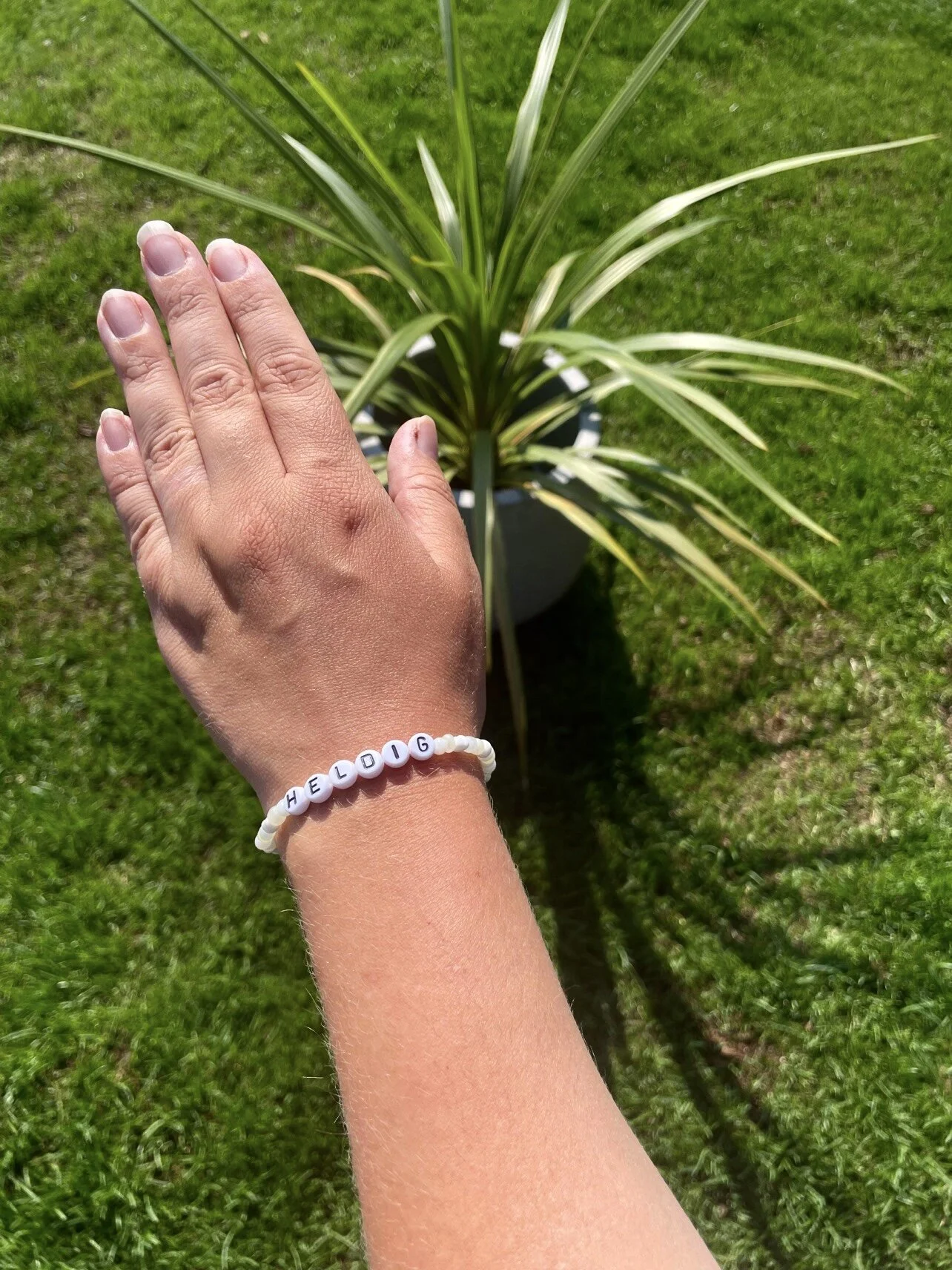 48D551F2-F269-4160-B356-83BC6ACE73D1