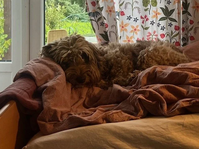 Hjemmedød kan være veldig fint