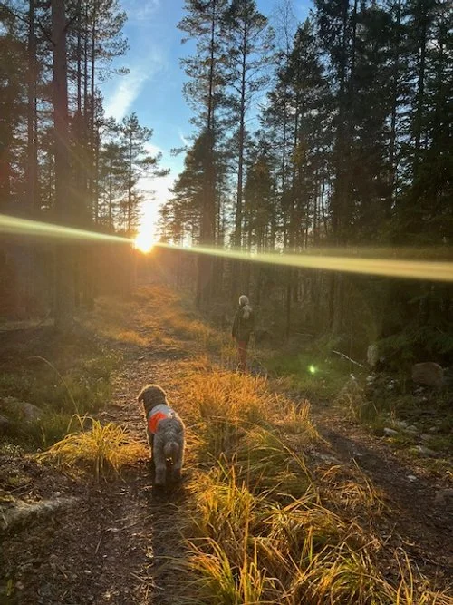 Over ett år, tid til å se bakover. Og vende blikket frem.