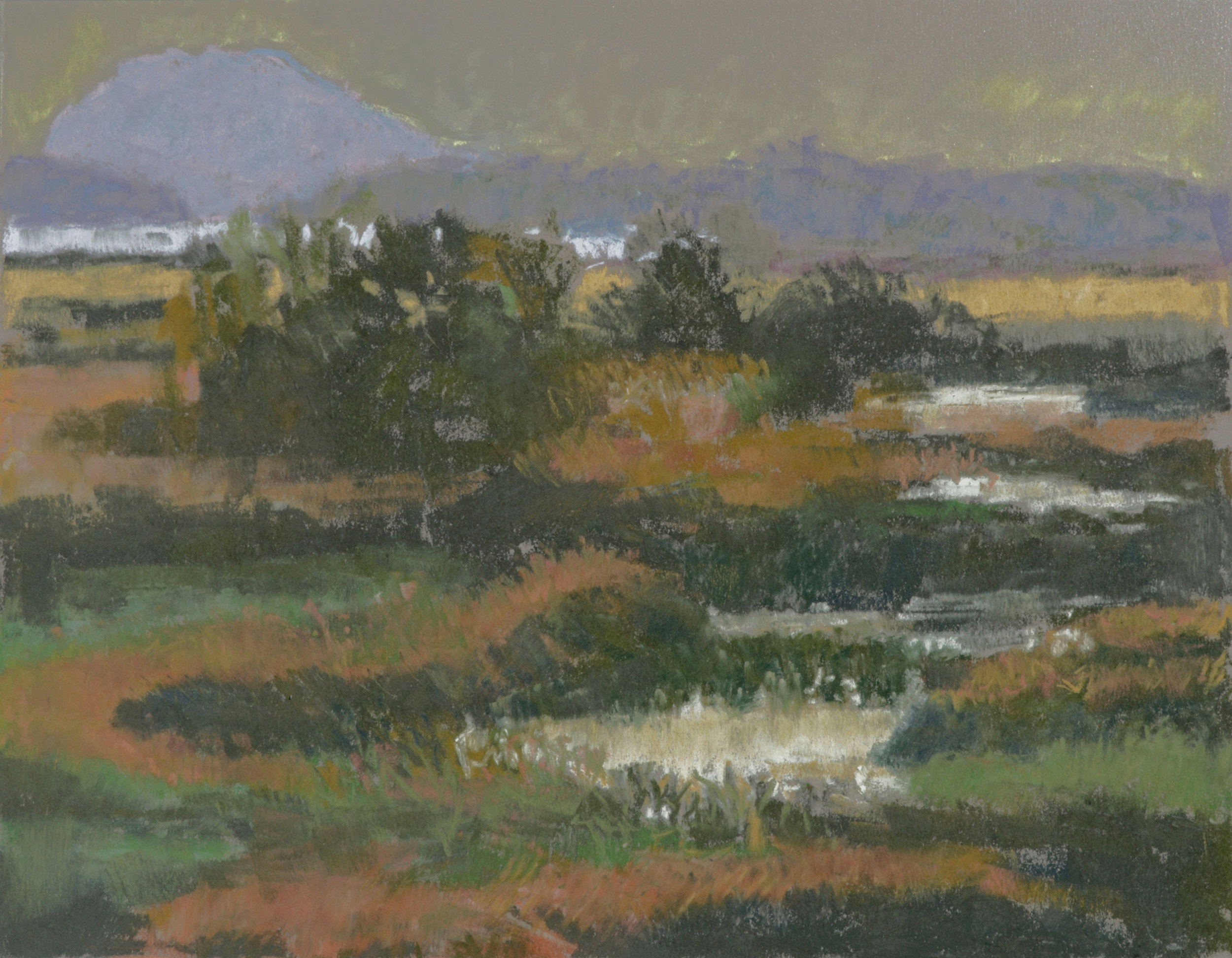 View of Samish and Lummi 12x16 Soft Pastel