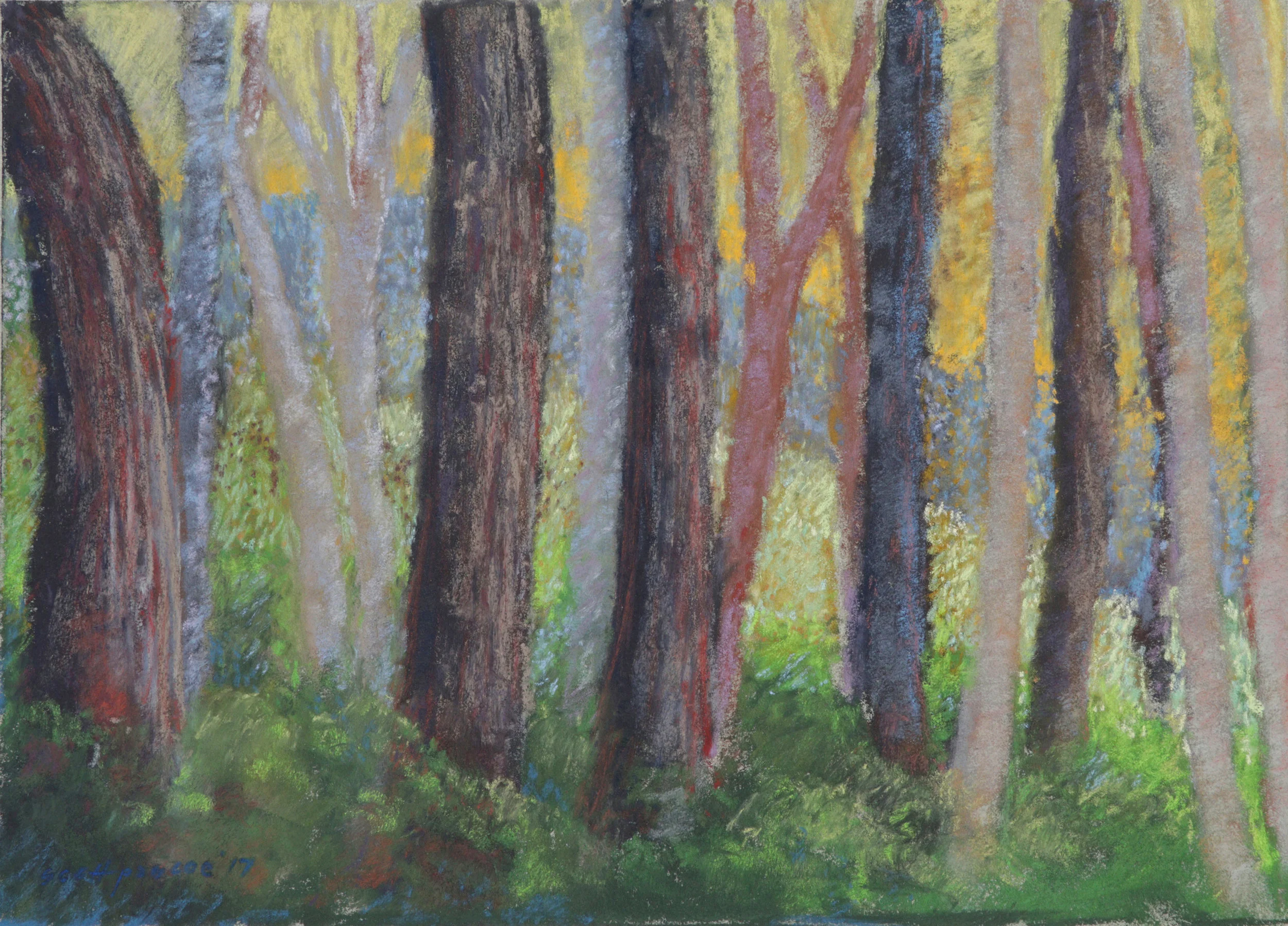 Clearing Forest Edge 12x16 Soft Pastel