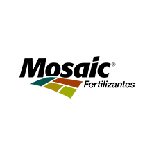 logo_mosaic.png