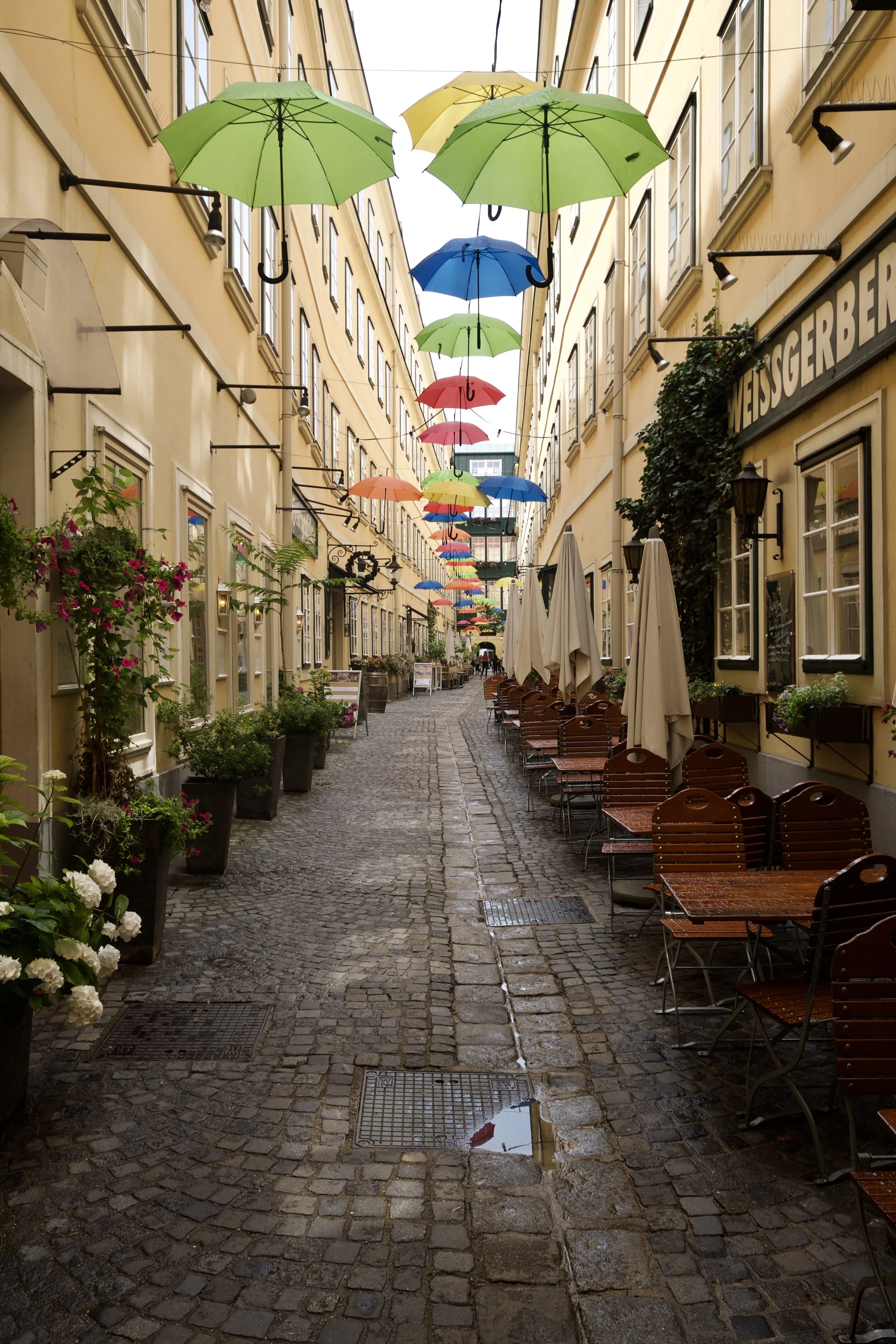 Umbrellas of Vienna — Tim Bechervaise Writing & Photography