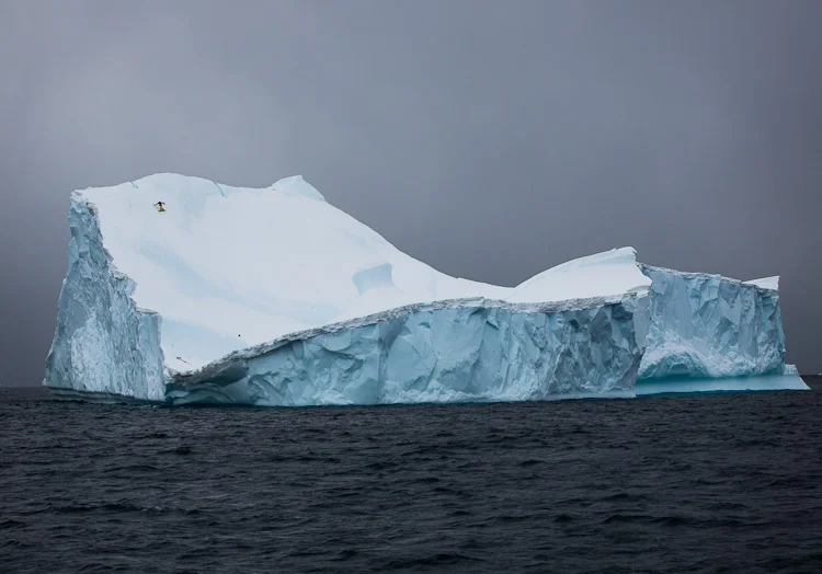 TERO_REPO_ANTARCTICA2012-1130.jpg