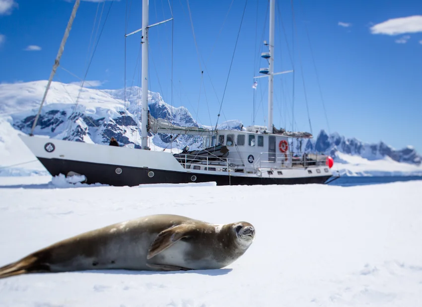 TERO_REPO_ANTARCTICA2012-2175.jpg