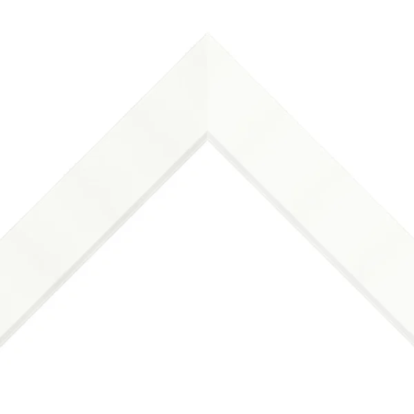 79963.jpg