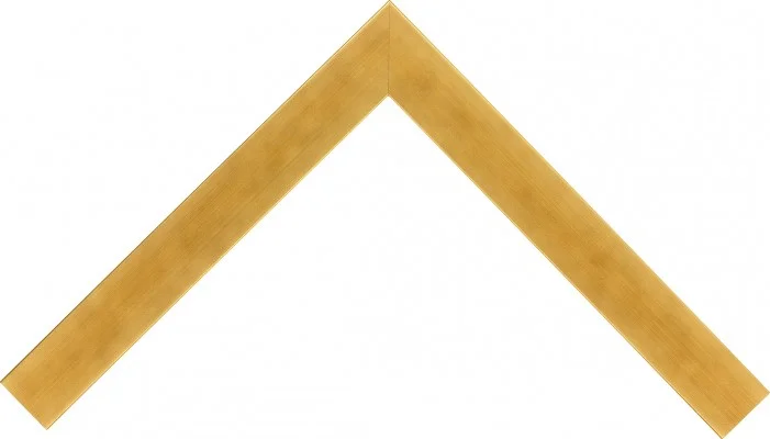 32351303.jpg