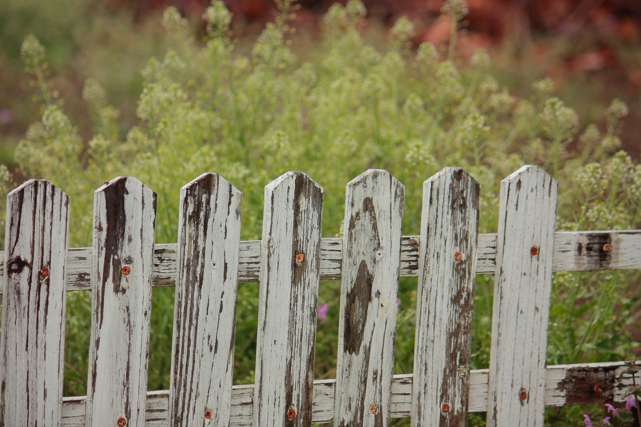 Fencing