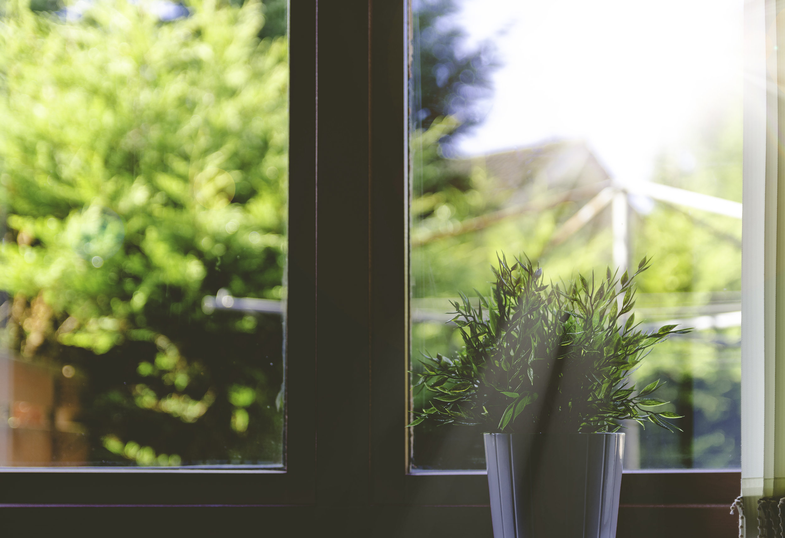 Bay Windows