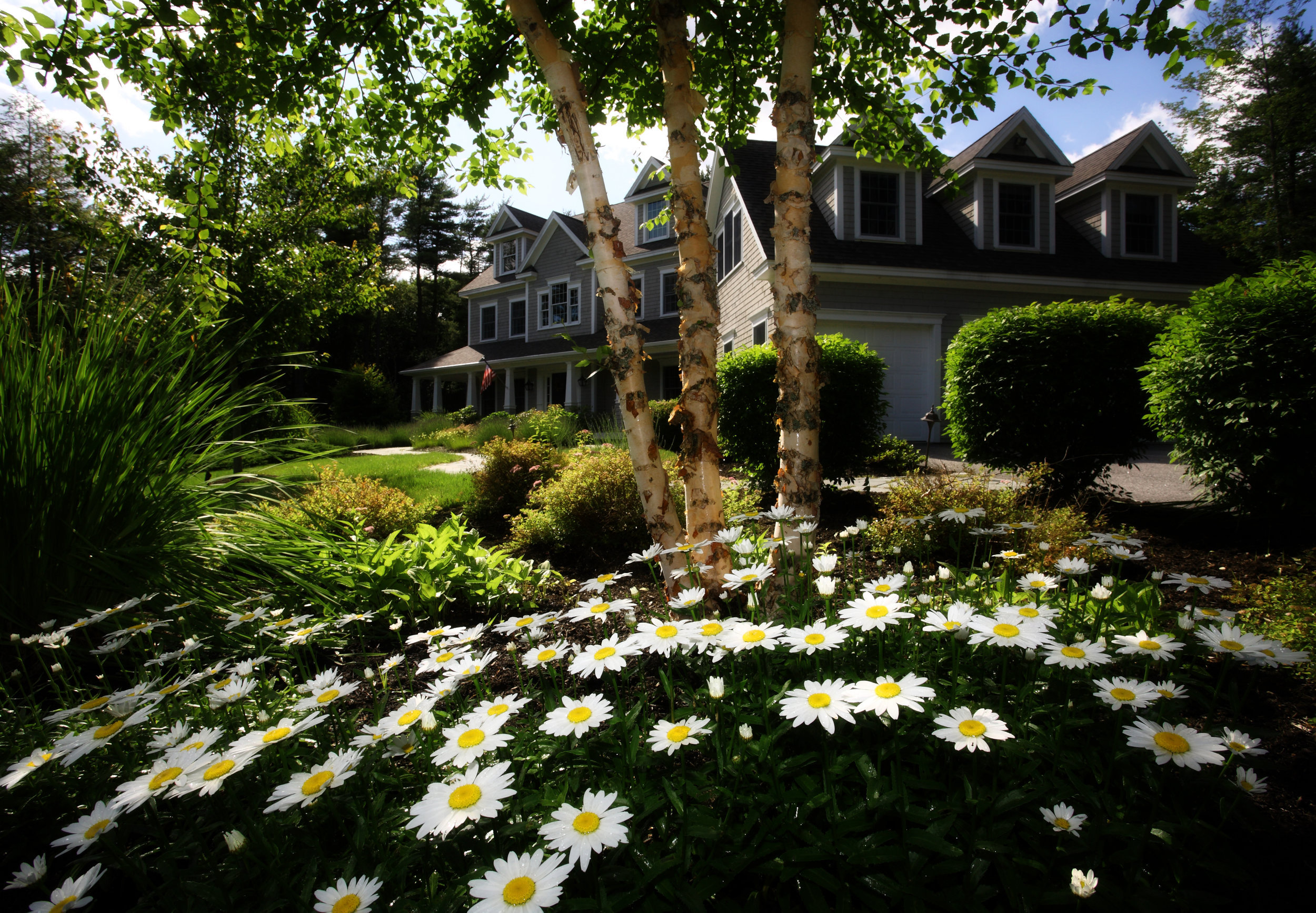 Lawn Care