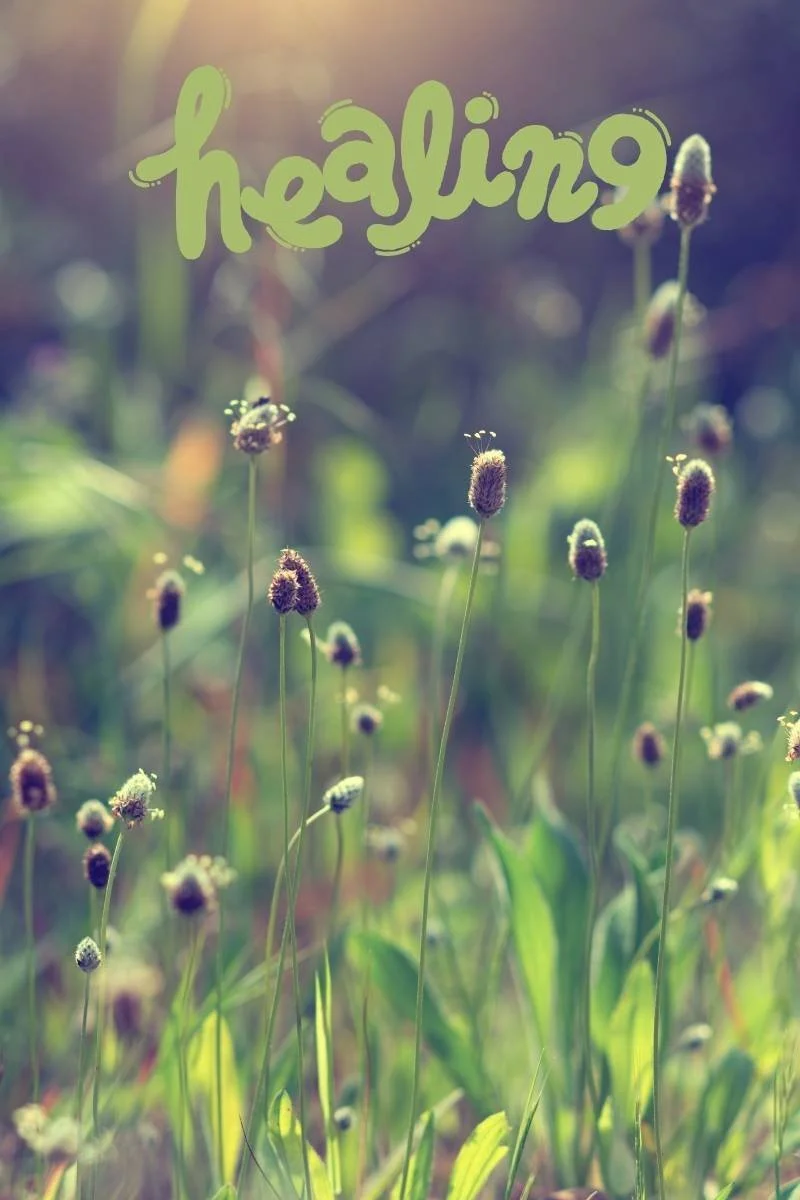 Healing My Anxiety Through Hypnosis