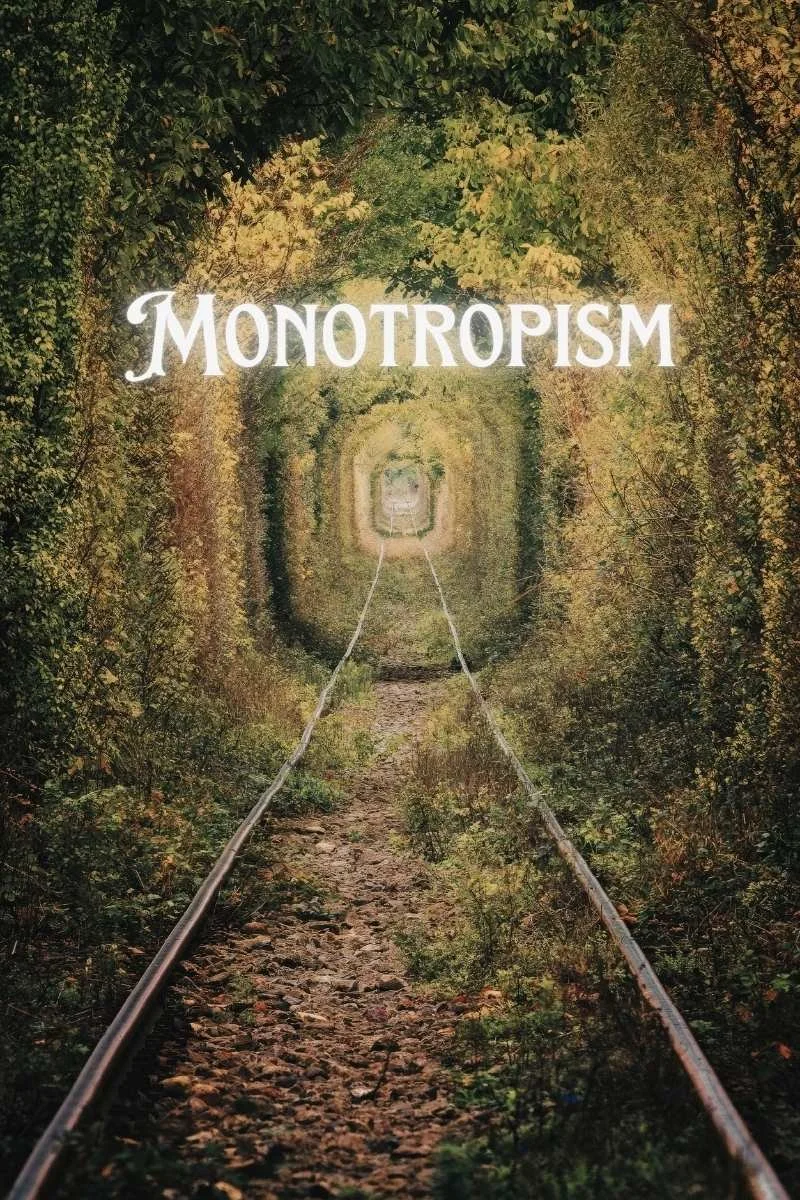 Beyond Hyperfocus: The Science of the Autistic &amp; ADHD Monotropic Mind