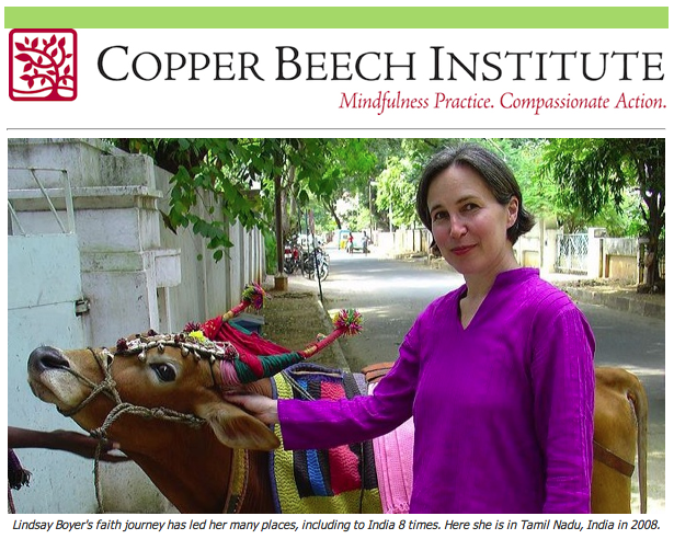 CopperBeech.png