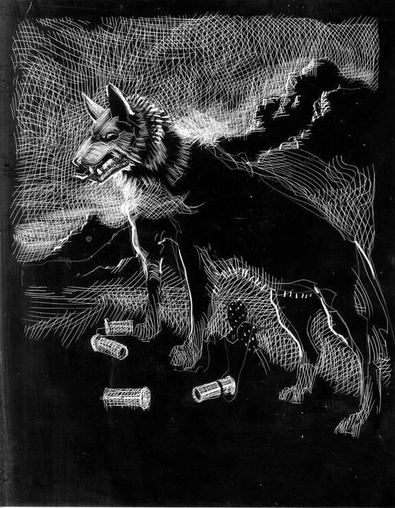 When The Hunted Becomes The Hunter, original illustration on scratchboard, 14"h x 11"w, 2021 PRICE: $500