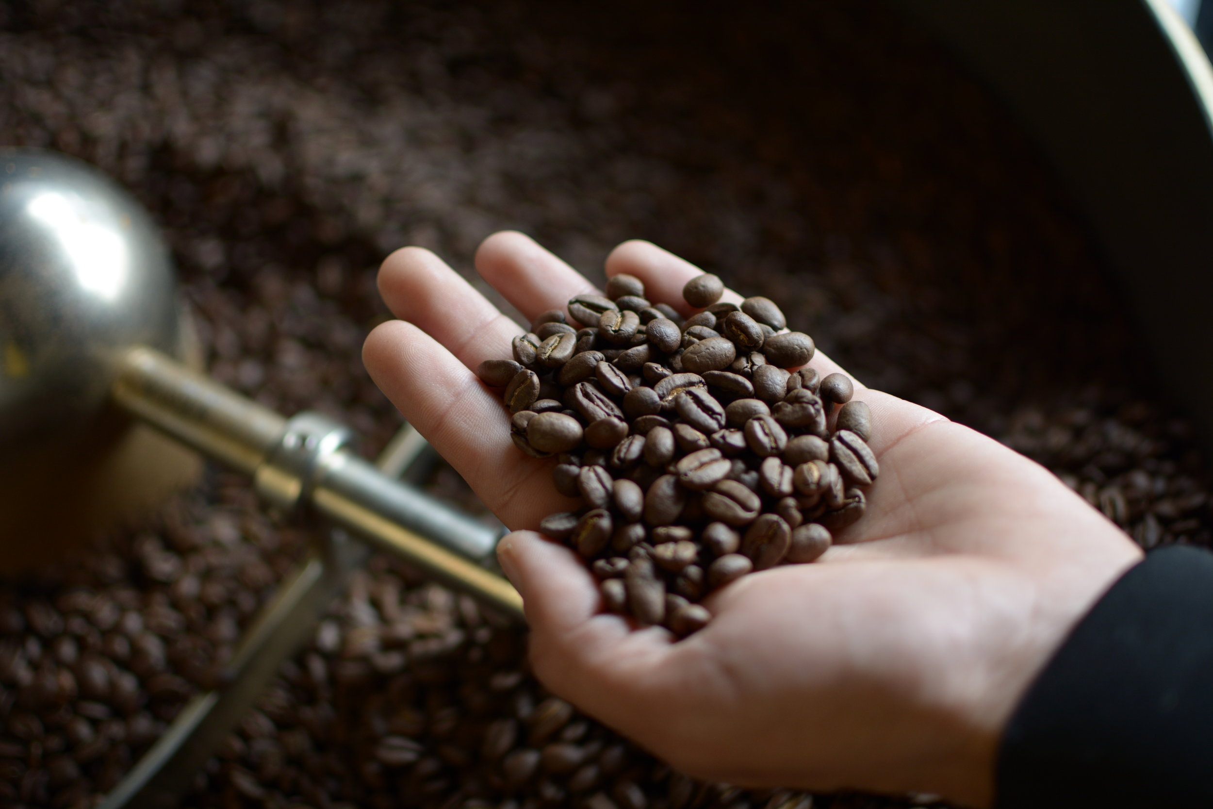 LA TORRÉFACTION DES GRAINS DE CAFÉ 