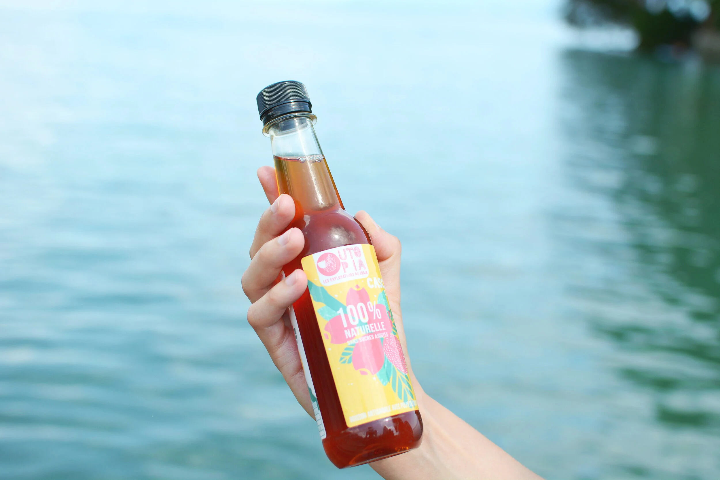 NOTRE COLD BREW CASCARA-Utopia Coffee